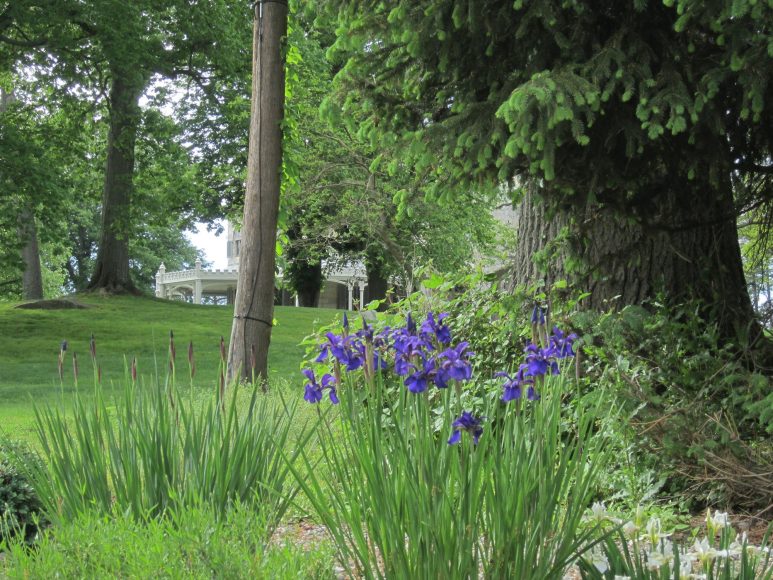 Lyndhurst’s grounds were filled with blooms on a May afternoon. Photograph by Mary Shustack.