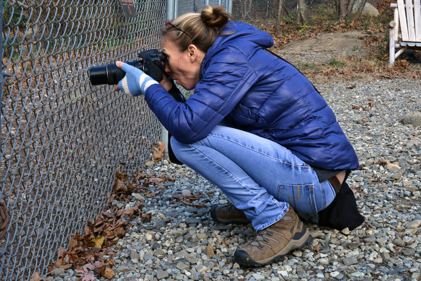 Maggie Howell, at the Wolf Conservation Center. Photograph by Bob Rozycki.