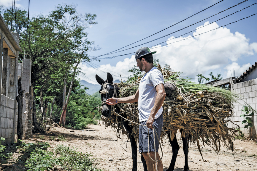 Nic Roldan in Guatemala with Brooke USA to support working equines. Photograph by Enrique Urdaneta.