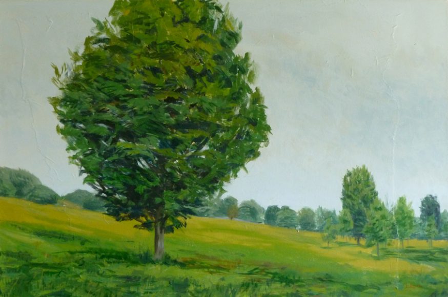 “Tree, Olana” by White Plains artist Susan Stillman. Photograph courtesy Susan Stillman.