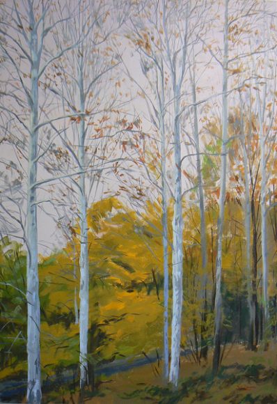 
“White Trees, Fall” by White Plains artist Susan Stillman. Photograph courtesy Susan Stillman.
