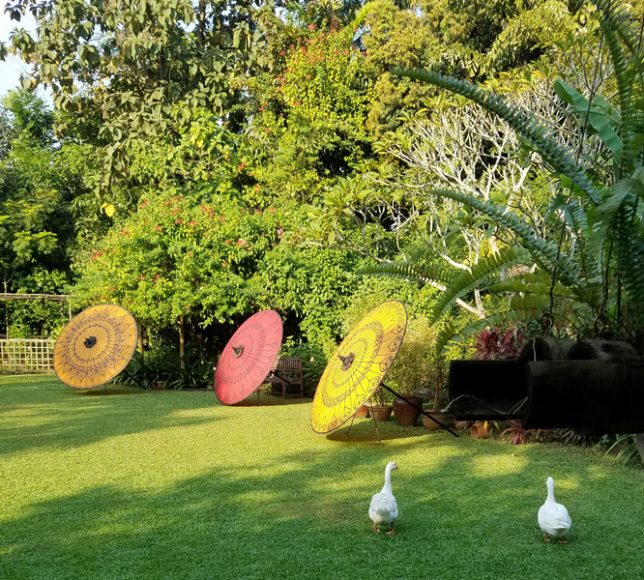 Parasols grace a Burmese garden.