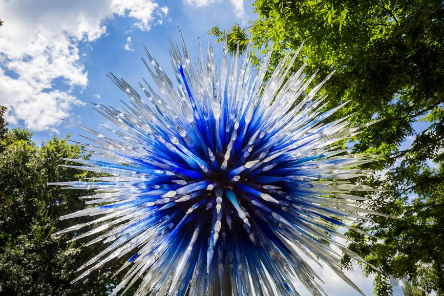 Dale Chihuly's "Sapphire Star" (2016). The Atlanta Botanical Garden. Photograph courtesy New York Botanical Garden.