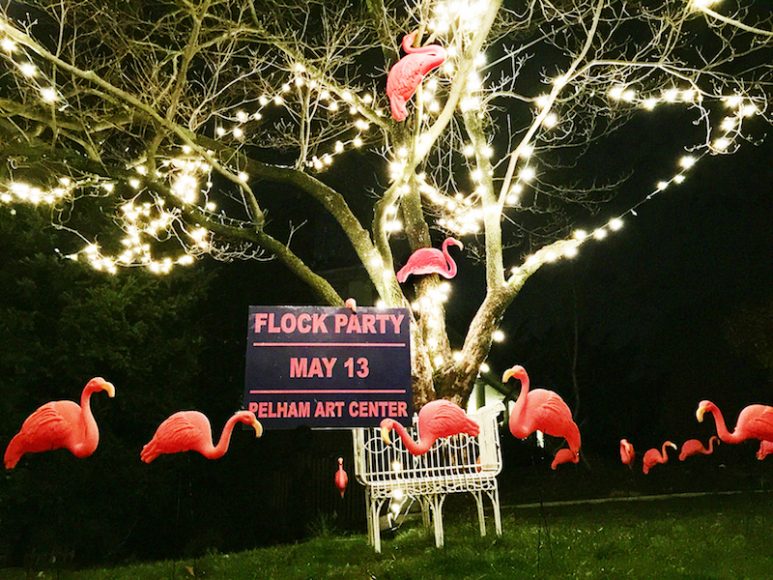 The flamingos promoting Pelham Art Center’s “Flock Party” have been spotted day and night. Photograph courtesy Pelham Art Center.