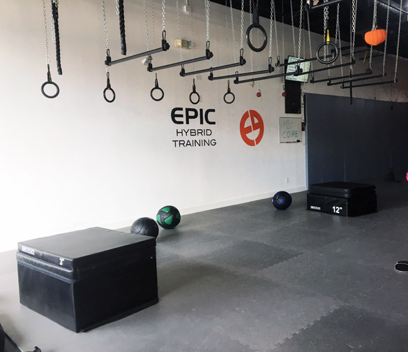 One of the circuits required participants to hold onto these suspended bars, using their body strength. Epic Hybrid Training Westchester. Photograph by Danielle Renda.