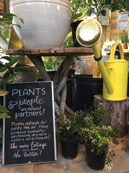 The upscale shop offers everything you need to make your springtime garden grow. Photograph by Aleesia Forni.