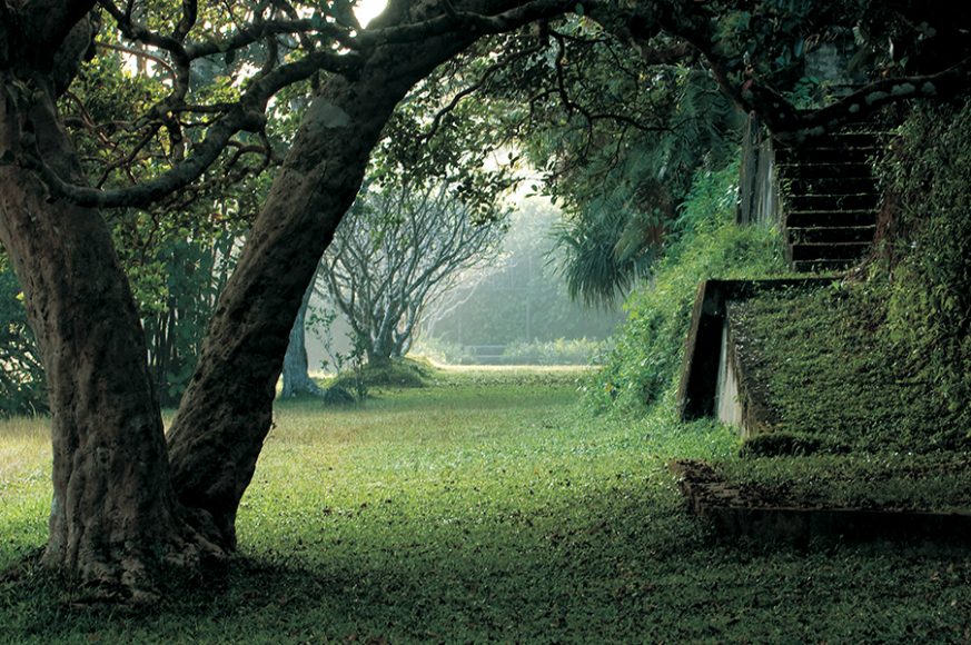 The Broad Walk looking towards the ruins of the Black Pavilion. x© Dominic Sansoni.