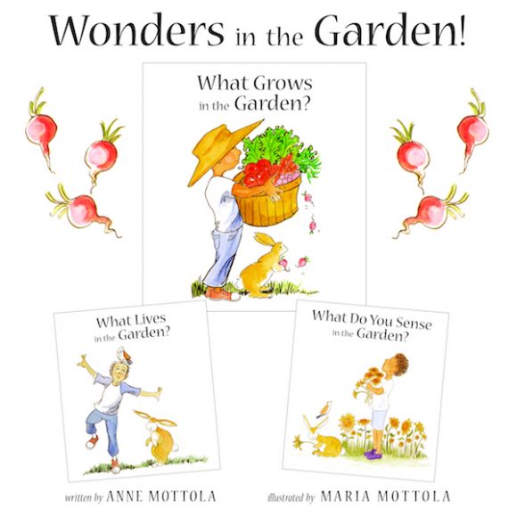 Cover illustration of the boxed set “Wonders in the Garden!,” published by the New York Botanical Garden Press. Image courtesy New York Botanical Garden.