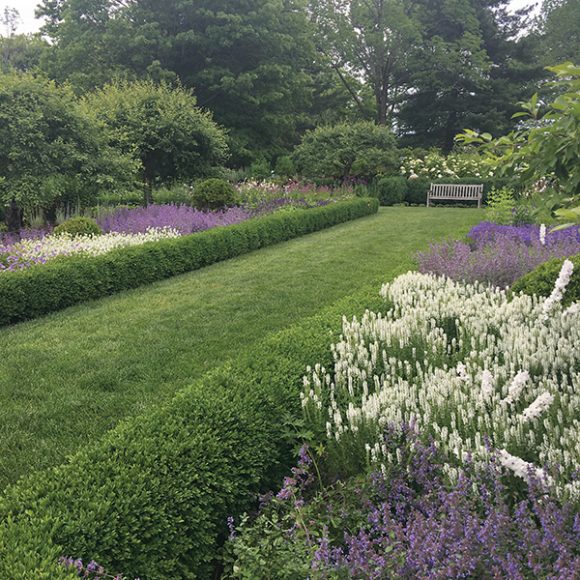 Views of Patricia Caffray's garden. Landscape design by DNA Landscape. Photograph by Mick Hales Photography.