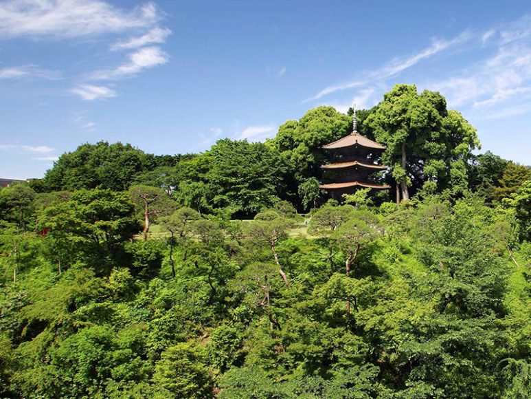 Hotel Cinzanso garden and Pagoda. Courtesy Hotel Chinzanso.