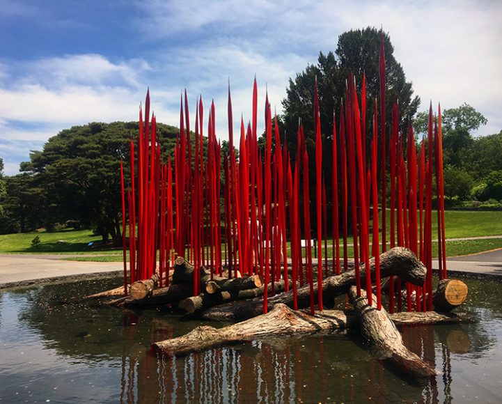 Dale Chihuly’s “Red Reeds on Logs.” Photograph by Danielle Renda.