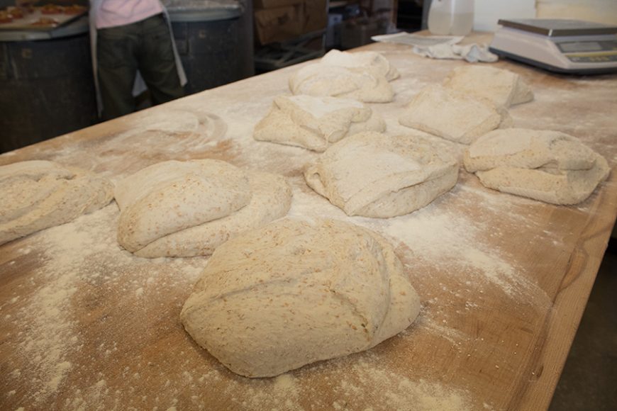 The beginning stages of the bread-making process. Photograph by Sebastian Flores.