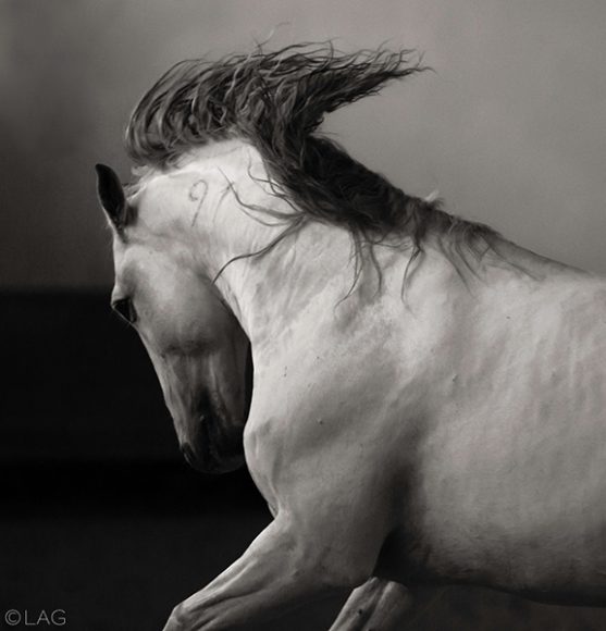 Laurence Anne Guillem's, “Hermes” (2014-15), black-and-white photograph. Courtesy the artist.