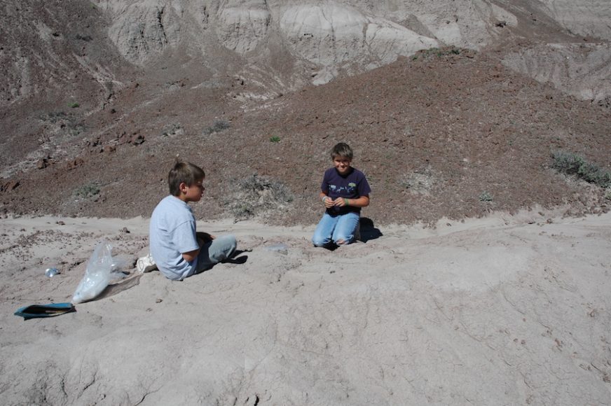 Ryan and Taylor Williams, 11-year-old twin sons of paleontologist Tom Williamson, discovered a new species of fossil bird.
