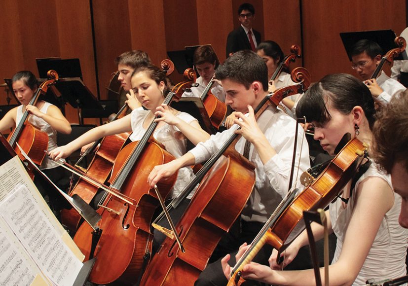 The Hoff-Barthelson Music School Festival Orchestra. Photograph by Steven Schnur.