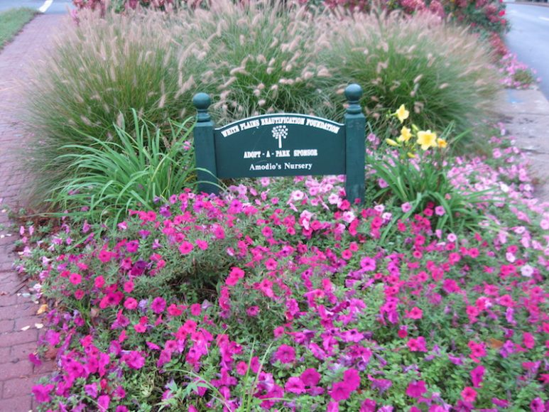 Scenes from the floral display at the intersection of Mamaroneck Avenue and Bloomingdale Road, courtesy of Amodio’s Garden Center, Nursery & Flower Shop. The center is among the local businesses that make White Plains a garden city.