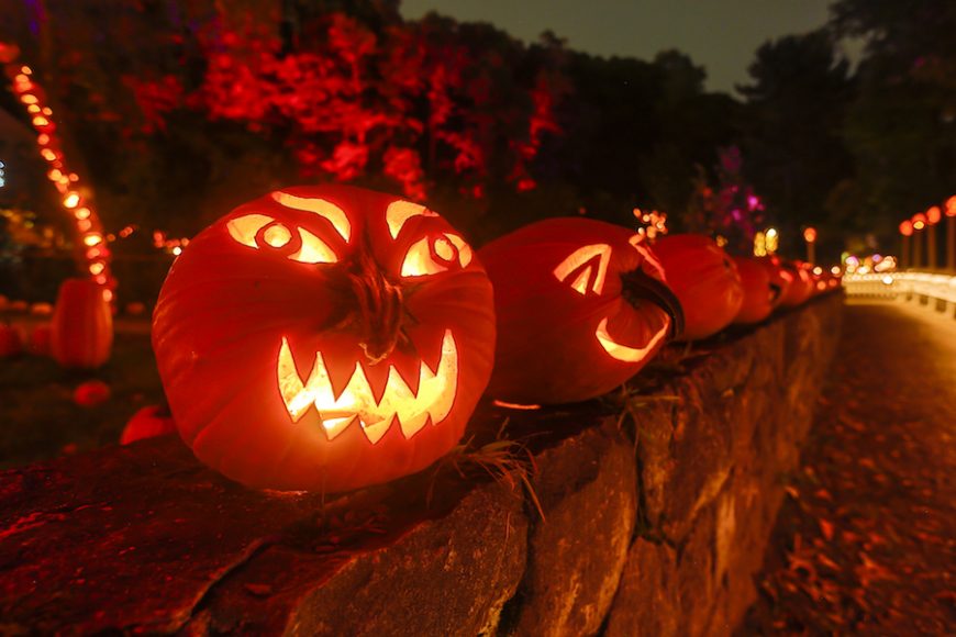 Pumpkins line a rock wall. Photograph by Tom Nycz. Courtesy Historic Hudson Valley.