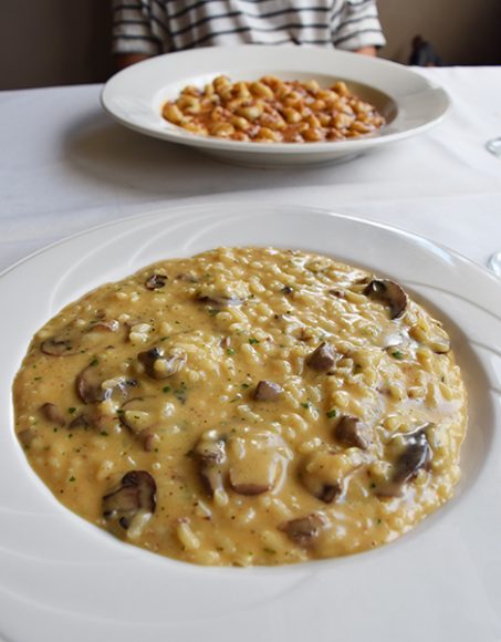 Filet mignon paired with wild mushrooms and truffle oil in a risotto entree, along with a plate of gnocchi bolognese. Photograph by Aleesia Forni.