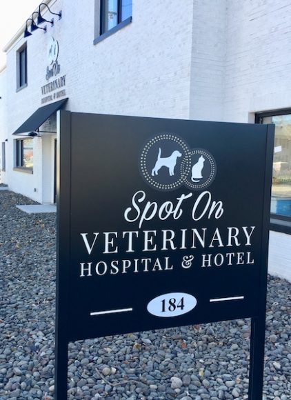 Furry friends are welcome to stay the night or partake in the facility’s daycare program. Courtesy Spot On Veterinary Hospital & Hotel.