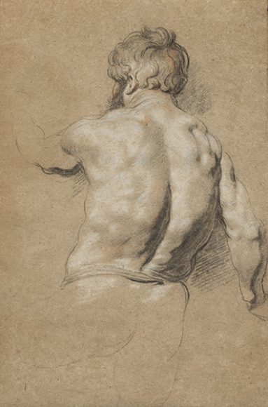 Jacob Jordaens’ “Study of a Male Nude Seen from Behind” (circa 1617-20), black, red and white chalk on light brown paper. Private Collection. 