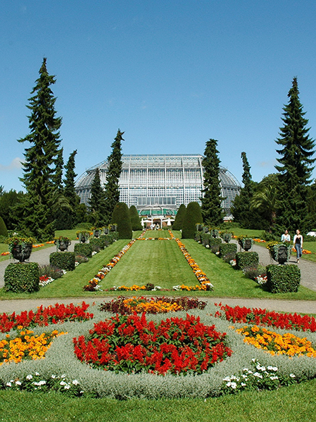 The blooming of Berlin