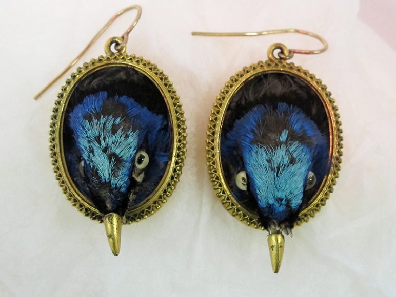 Unidentified maker. Red-Legged Honeycreeper earrings, ca. 1865, probably London, England; preserved bird, gold, metal; Metropolitan Museum of Art, Alfred Z. Solomon and Janet A. Sloane Endowment Fund, 2013, 2013.143a, b. Image courtesy New-York Historical Society.