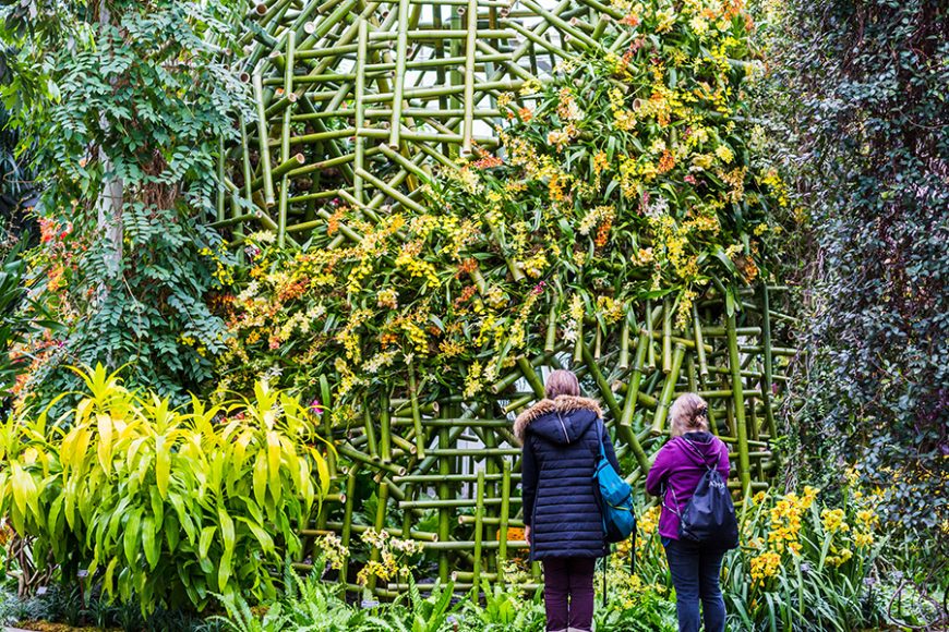 Architectural designs by Belgium’s Daniel Ost grace the New York Botanical Garden’s 16th annual “Orchid Show." Photograph courtesy the NYBG.