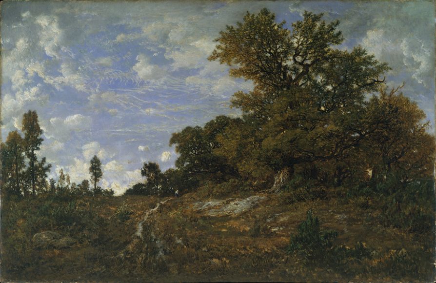 Théodore Rousseau's "The Edge of the Woods at Monts-Girard, Fontainebleau Forest" (1852–54), oil on wood.
The Metropolitan Museum of Art, New York,
Catharine Lorillard Wolfe Collection, Wolfe Fund. Photograph courtesy The Metropolitan Museum of Art.