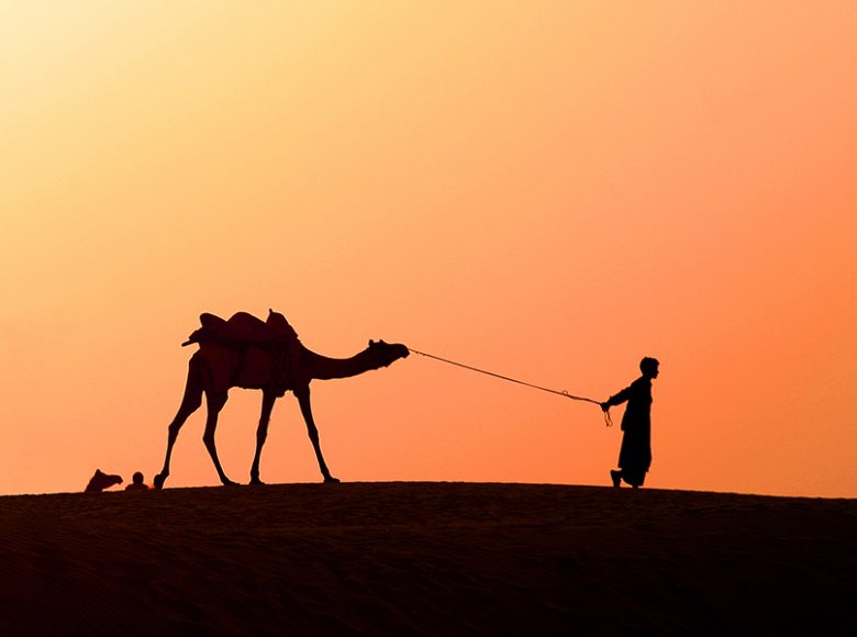 A 10-year-old boy was leading his camel across the sand dunes in the Thar Desert, approximately 44 miles outside the fortified city of Jaisalmer. Earlier in the day, he was seen listening intensely to a transistor radio pushed against his ear while following the cricket matches that were being played in Mumbai. Photograph by John Rizzo.