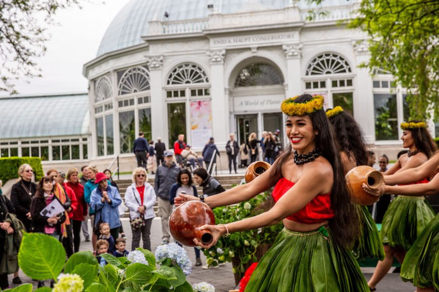 Scenes from the New York Botanical Garden’s Hawaiian summer in the Bronx, including strolling patrons, hula dancers and exhibit admirers. Courtesy NYBG.