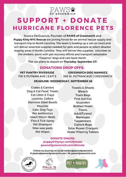 Rescuing North Carolina Pets Wag Magazine