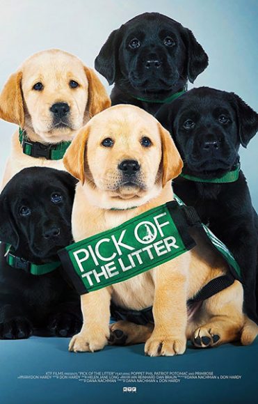 pick-of-the-litter