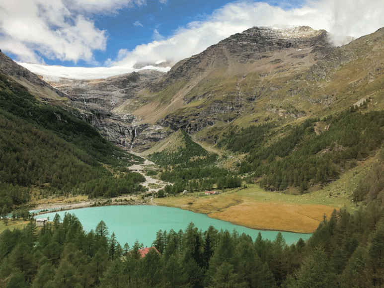 View from the Bernina Express.