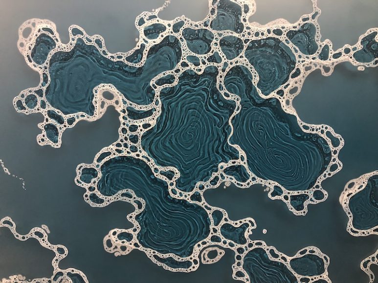 Hudson Valley artist Carla Goldberg’s work explores themes related to water. Courtesy Carla Goldberg.