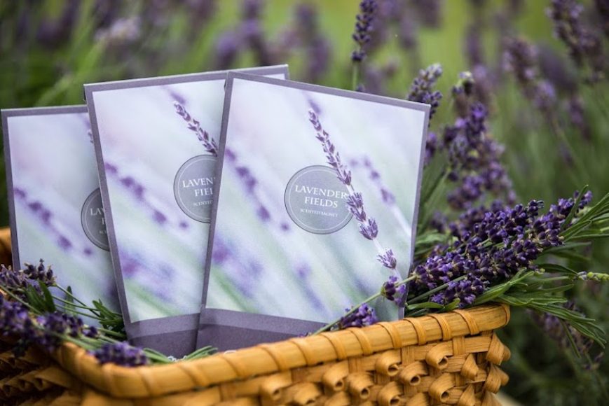 The Lavender Fields scented sachets from Floral Simplicity offer a soothing respite. Courtesy Floral Simplicity.