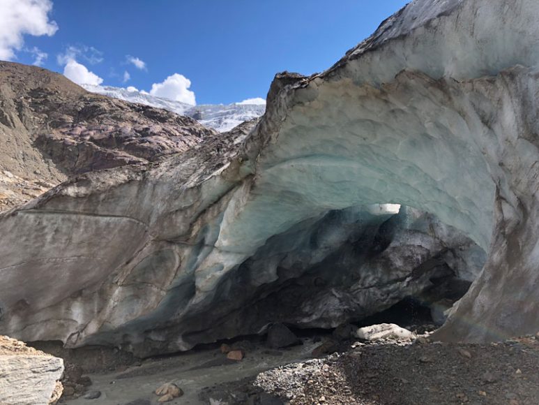 The Forni glacier.
