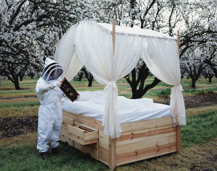 Jessica Segall, “Zzzzzzz,” 2016, 30’’ x 40,” performance still: wooden bed designed to house four  beehives, digital print. Photograph courtesy Wave Hill.
