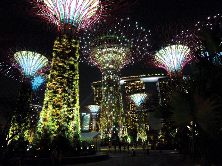The New York Botanical Garden’s 17th annual “Orchid Show” includes a recreation of the Supertrees in Singapore’s Gardens by the Bay.