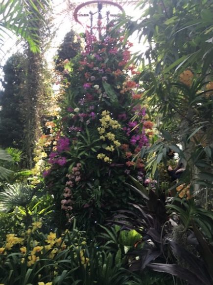 Scenes from “The Orchid Show: Singapore,” at the New York Botanical Garden, Saturday, Feb. 23 through April 28, include the city’s orchid Arches and solar-powered orchid “Supertrees.” Photographs by Georgette Gouveia.