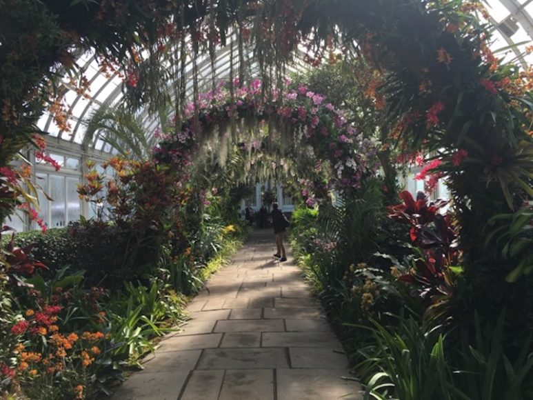 Scenes from “The Orchid Show: Singapore,” at the New York Botanical Garden, Saturday, Feb. 23 through April 28, include the city’s orchid Arches and solar-powered orchid “Supertrees.” Photographs by Georgette Gouveia.