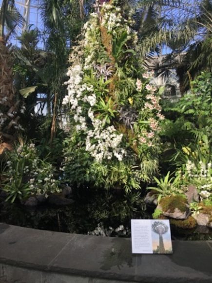 Scenes from “The Orchid Show: Singapore,” at the New York Botanical Garden, Saturday, Feb. 23 through April 28, include the city’s orchid Arches and solar-powered orchid “Supertrees.” Photographs by Georgette Gouveia.