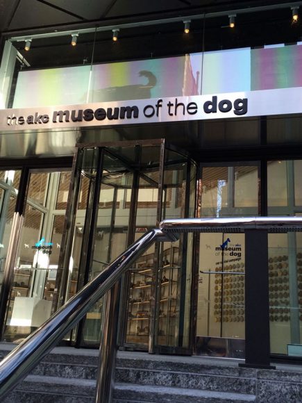 A visit to the American Kennel Club Museum of the Dog in Manhattan begins before you even enter the building with a video display above the 40th Street entrance. Photograph by Mary Shustack.