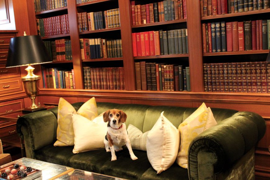 A well-read dog at The Jefferson, Washington, D.C. Courtesy The Jefferson.
