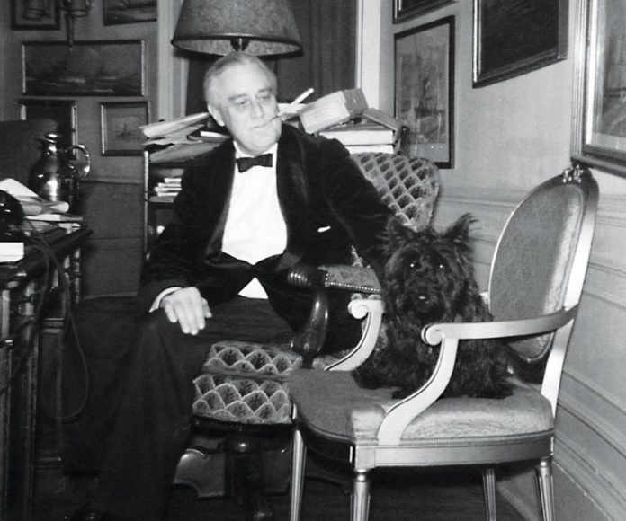 Fala with President Franklin D. Roosevelt in the White House Study, Dec. 20, 1941. Courtesy Franklin D. Roosevelt Presidential Library and Museum.