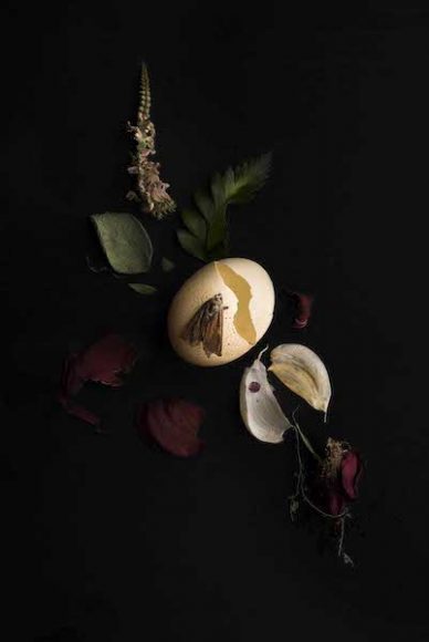 Photographer Meghan Spiro will exhibit her work at Hudson Beach Glass in “Bella Monnezza.” The show will include this work that features egg, garlic, sage, rose and florals. Courtesy and © Meghan Spiro.