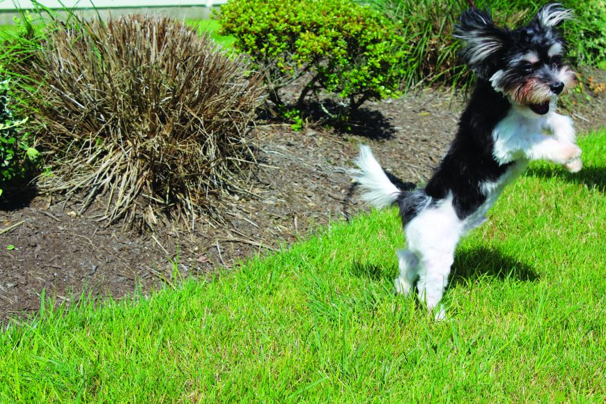 Photograph by Dan viteri