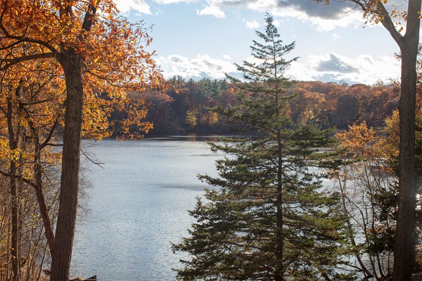 View of Whatmore’s Lake.