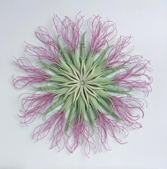 Catherine Latson, “Specimen 15,” 2019, hand-dyed cotton thread, cotton, wire, 26 inch diameter x 4 inches deep (unframed), 32 x 32 x 4.75 inches (framed in acrylic shadowbox). Courtesy Kenise Barnes Fine Art.