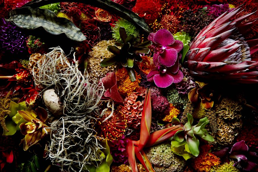 Summer,  “Whole
02.0039, September 15, 2013,” as featured in “Flora Magnifica: The Art of Flowers in Four Seasons.” (Thames & Hudson). 
© Shunsuke Shiinoki.