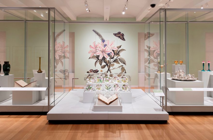 Installation view of “Botanical Expressions” at Cooper Hewitt, Smithsonian Design Museum. Photograph by Matt Flynn © Smithsonian Institution.